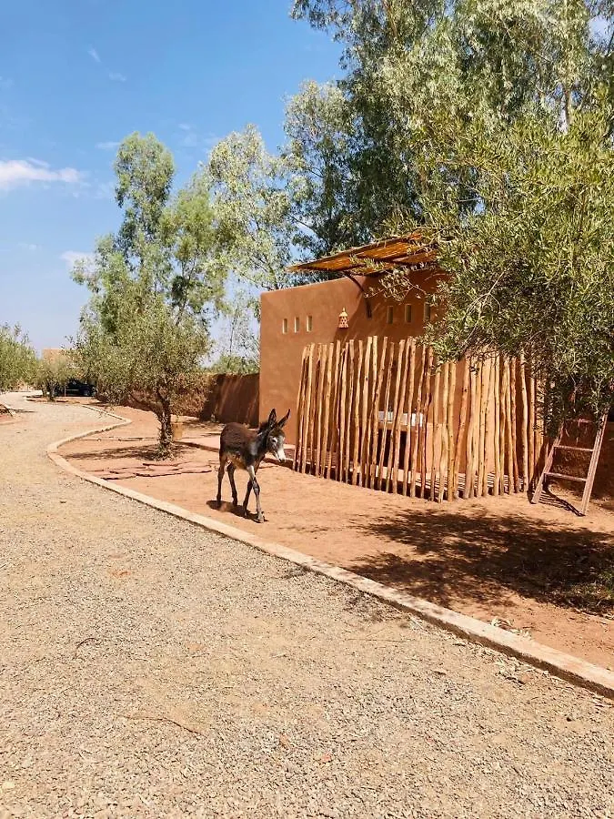 Upupa De L'Atlas Ouled el guerne Otel