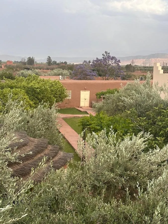 Upupa De L'Atlas Ouled el guerne