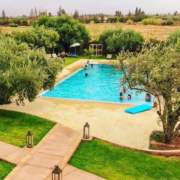 Upupa De L'Atlas Oulad el Guern Morocco
