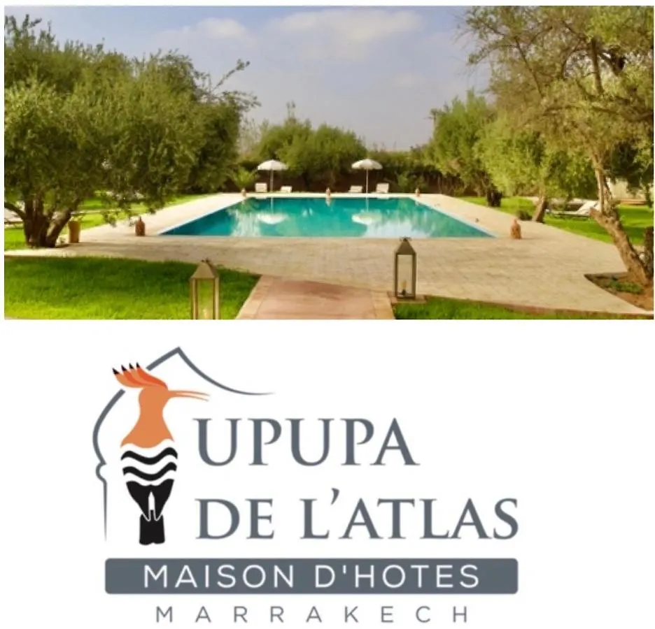 Upupa De L\'Atlas location