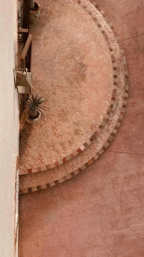 Upupa De L'Atlas Oulad el Guern